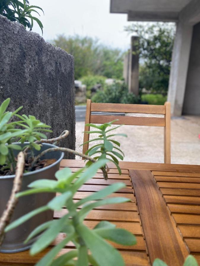 Studio Apartment Novak Čilipi 外观 照片
